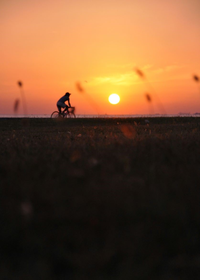 Web Design Ankara - Aslı Alpcan Web Tasarım Uzmanı